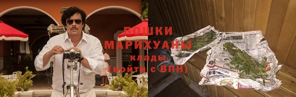 хмурый Бородино
