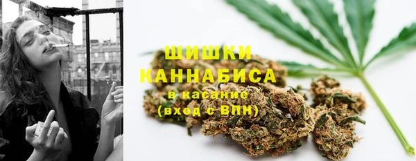 хмурый Бородино