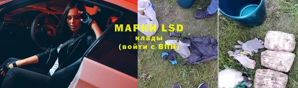 хмурый Бородино