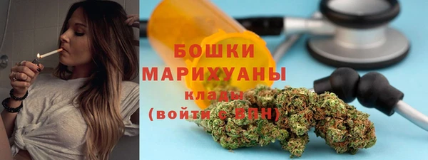 хмурый Бородино