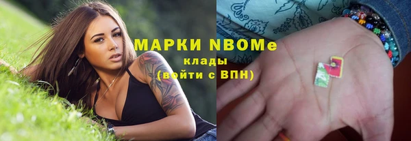 хмурый Бородино