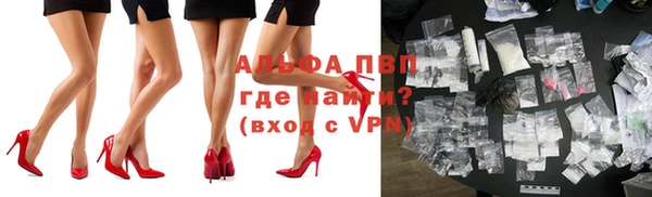 хмурый Бородино