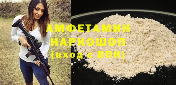хмурый Бородино