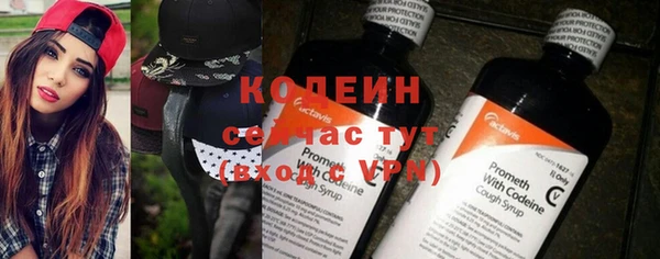 хмурый Бородино