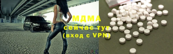 хмурый Бородино