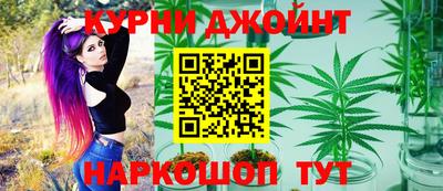 mdpv Заводоуковск